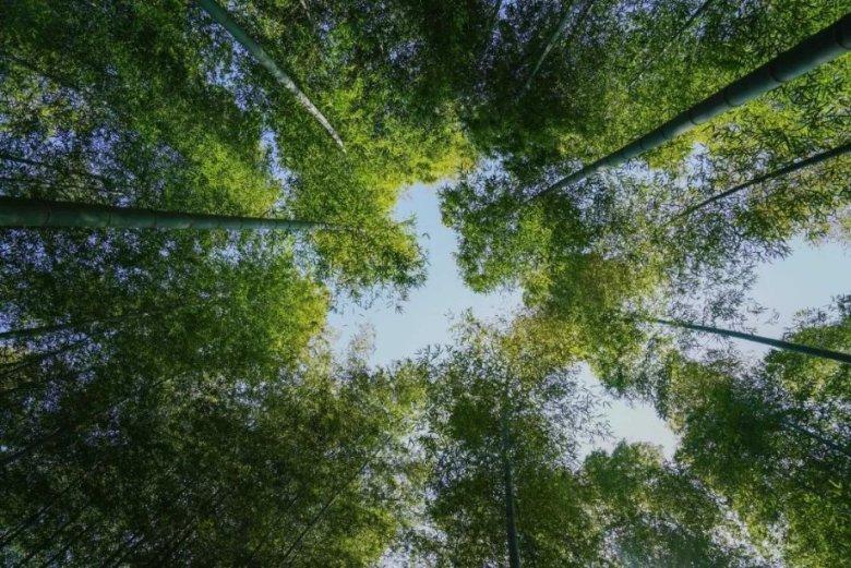 怎么看待不好好上班，玩各种环保主义，不消费主义，生存狂等人群呢？游戏画面